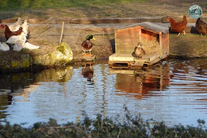 Kerflaveur ferme